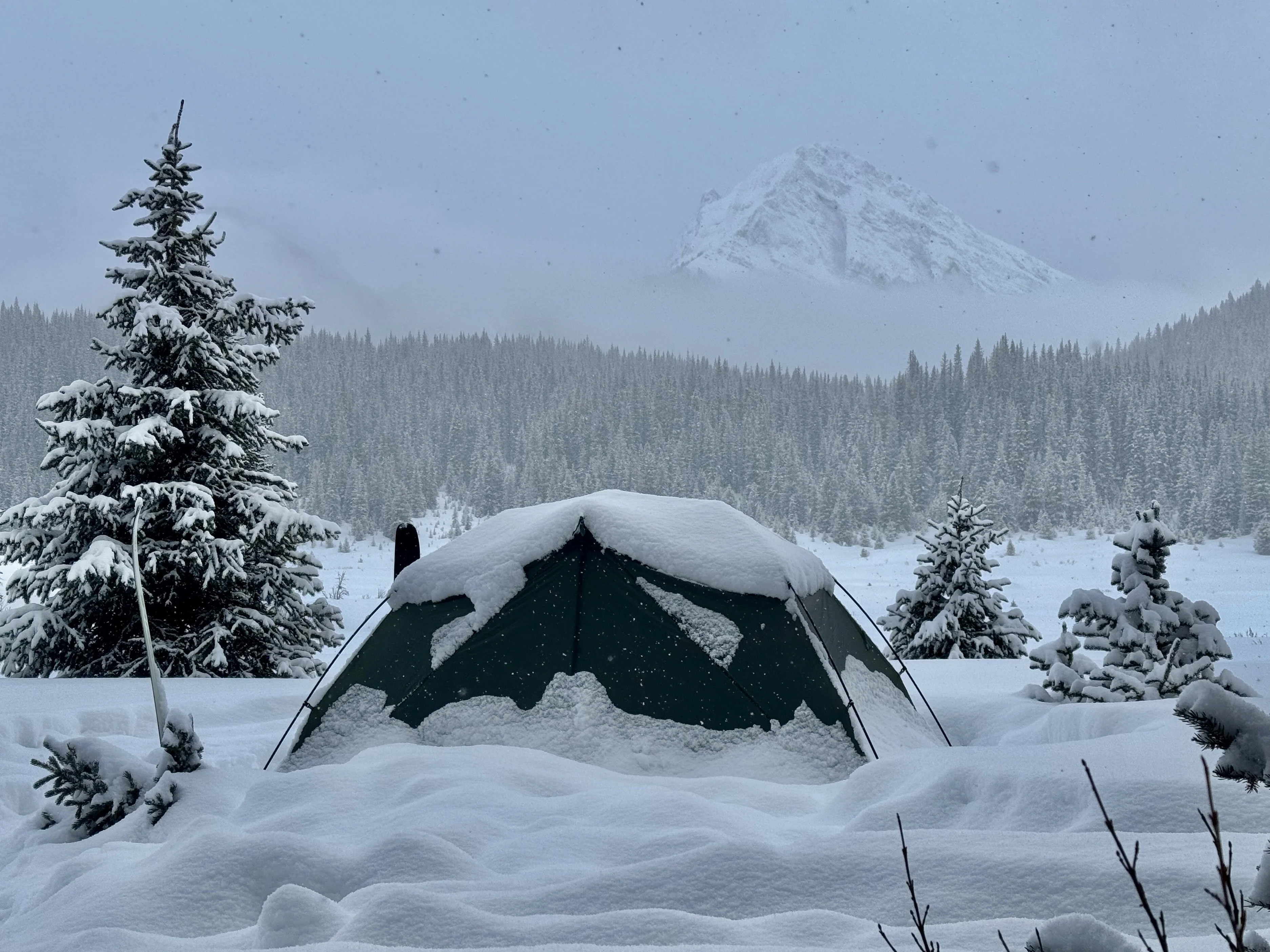 X-Dome 2 - Image 18